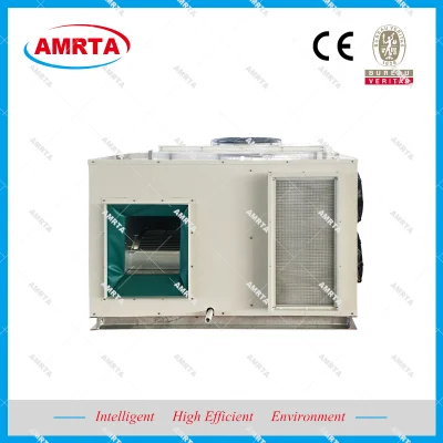Industrial Commercial Clean Type Combined Air Handling Unit/Ahu/Air Conditioner Cooling System